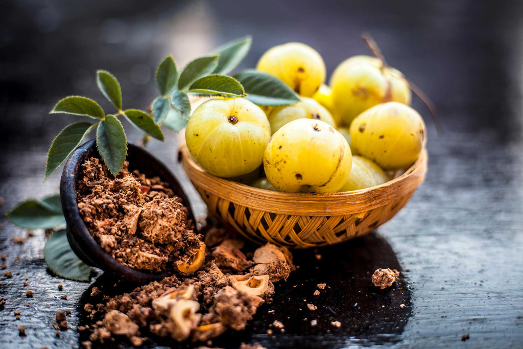 Why Amla is Considered a Superfood in Ayurveda