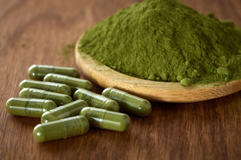 Moringa Powder or Moringa Capsules: Which Should You Choose?