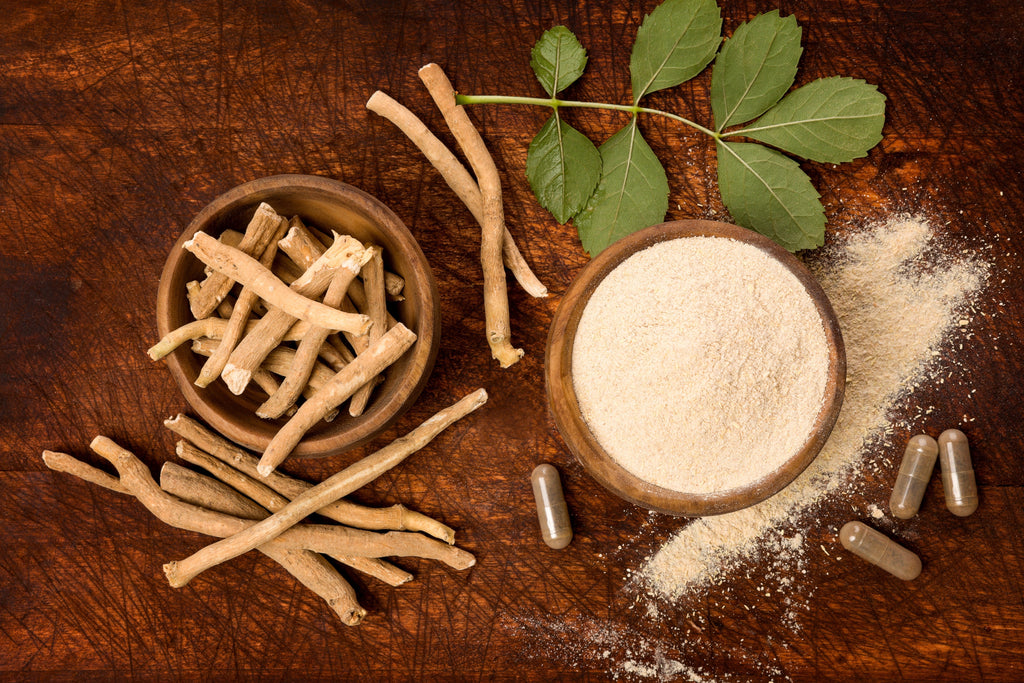 What Are the Advantages of Taking Ashwagandha Daily?