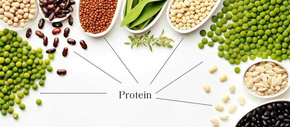 Plant-Based Protein Sources: Exploring the benefits of plant-based proteins.